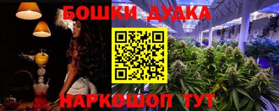 СК Майкоп