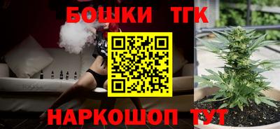 СК Майкоп