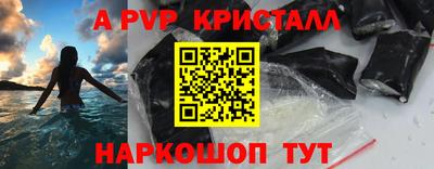СК Майкоп