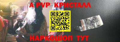 СК Майкоп