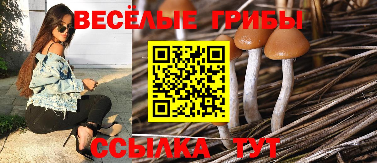 Галлюциногенные грибы ЛСД  Вход с VPN  Галлюциногенные грибы ЛСД  Мончегорск 